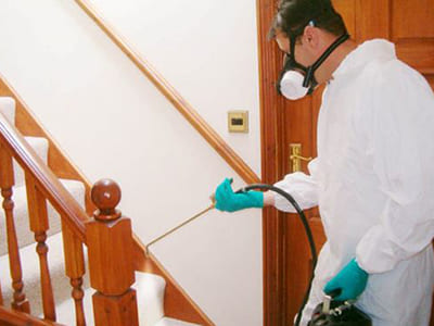 Dedetização em Geral