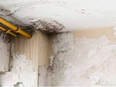 Serviços de Umidade