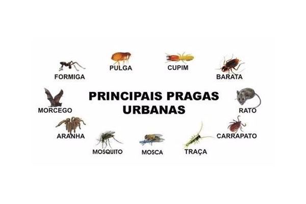 O que são as pragas urbanas?