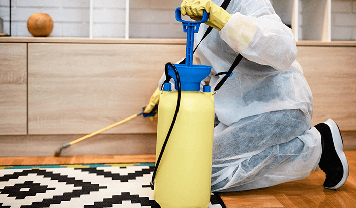 Dedetizadora SP ?? (11) 3641-7000 Orçamento rápido e Grátis